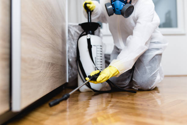 Best Rat Extermination Near Me  in Chouteau, OK