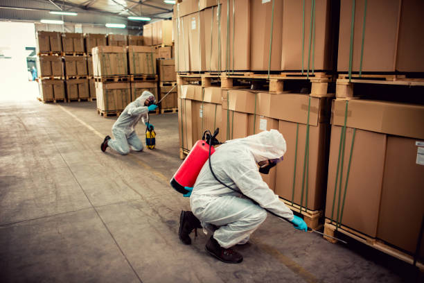Best Affordable Pest Control Services  in Chouteau, OK