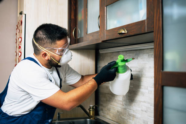 Best Local Pest Control Services  in Chouteau, OK