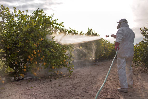 Pest Prevention Services in Chouteau, OK