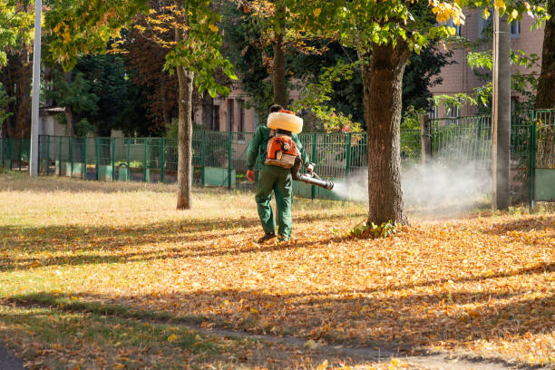 Best Mosquito Control Services  in Chouteau, OK