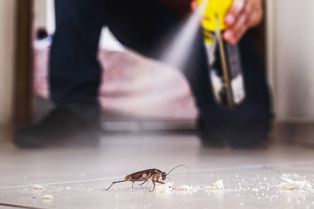 Wildlife Control Services in Chouteau, OK