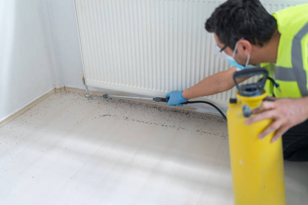 Pest Control for Restaurants in Chouteau, OK